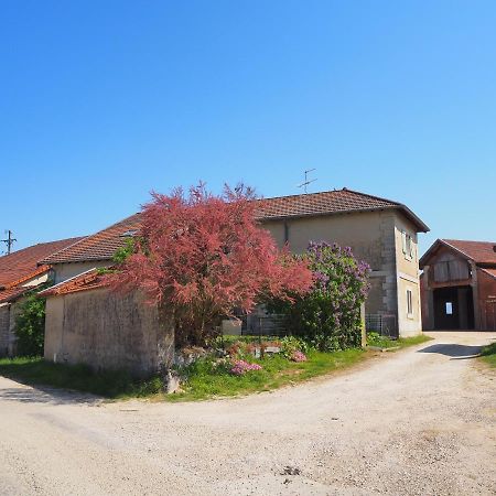 Le Gite Du Haut Châtillon-la-Palud Dış mekan fotoğraf